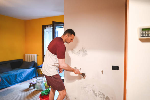 Best Water Damage Restoration  in Lincolnton, GA